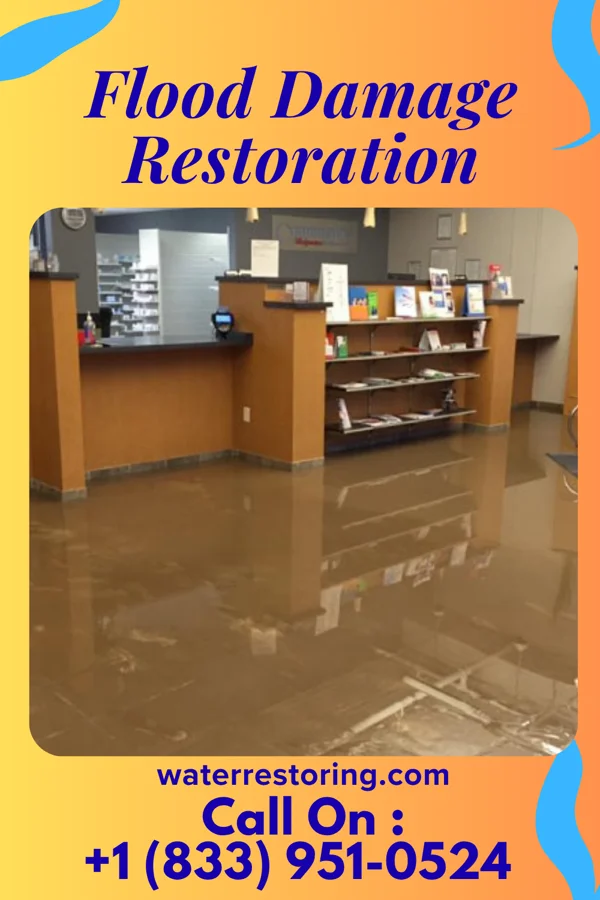 Flood Damage Restoration in Springfield, GA