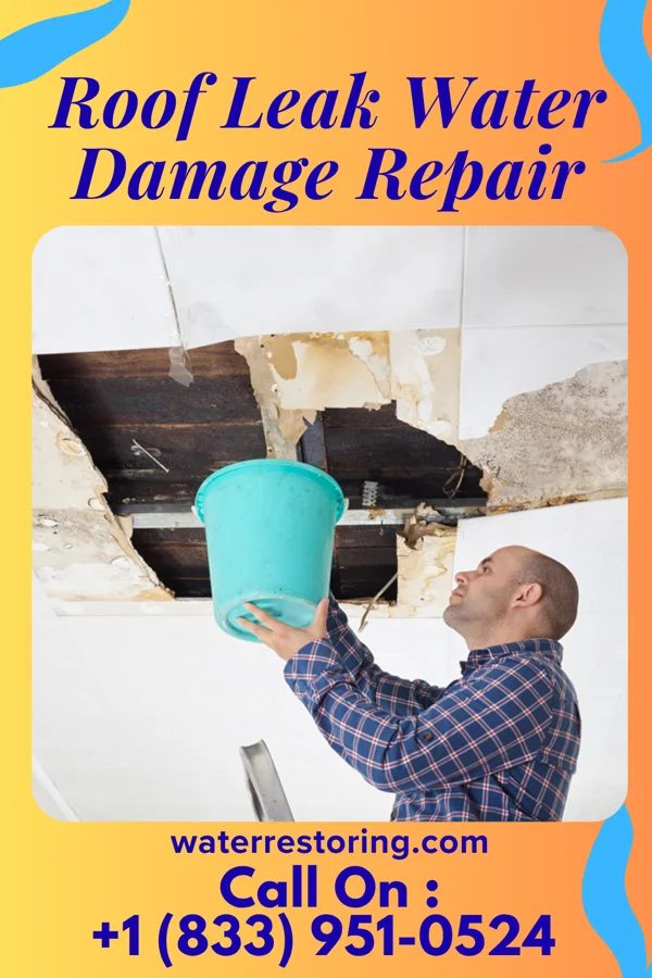 Roof Leak Water Damage Repair in Springfield, GA