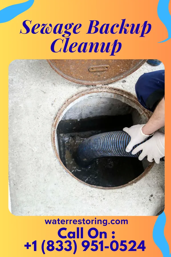 Sewage Backup Cleanup in Springfield, GA